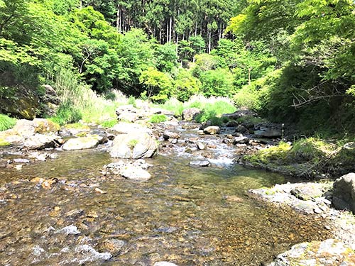 里川の雰囲気満点