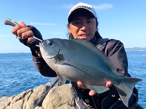 38cmのオナガグレ