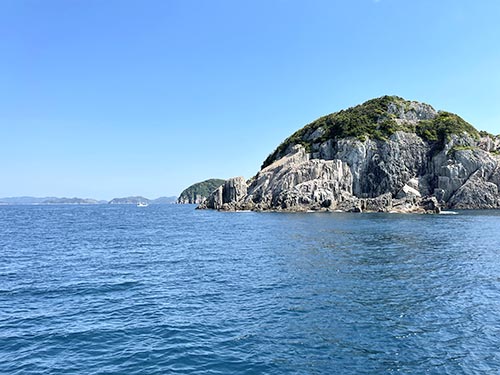 今回瀬上がりした「椛島の磯」