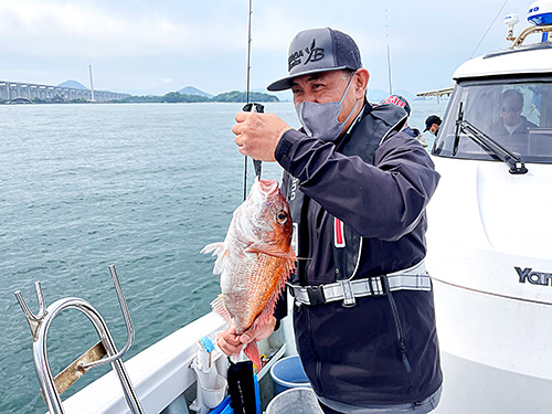 中層で喰ってきたマダイ。納得サイズでは無くカメラ目線はマダイだけ