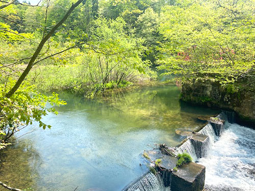 藤倉水源地