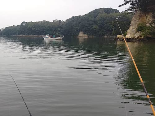 秋のシーズン松島内は最高の風景が楽しめる