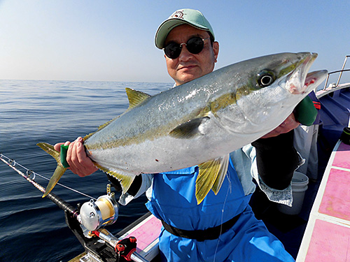 初夏の陽射しを浴びて輝く魚体