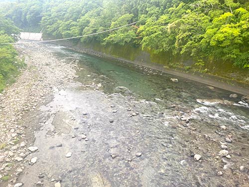 帰り道、また遊びにくるね~!