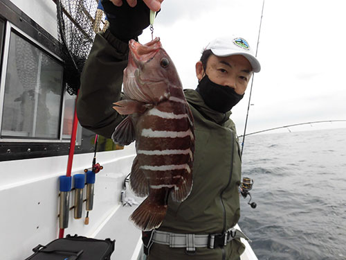 “大本命”のマハタです