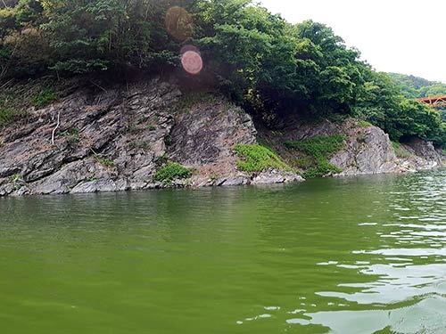 上流域の太田部橋周辺