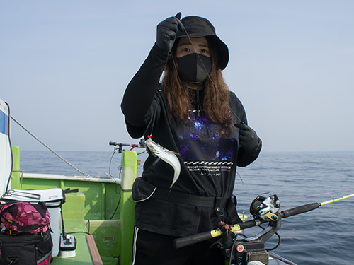 このサイズのアジが釣れたら、直ぐに“泳がせ”仕掛けに装着
