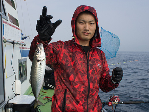 いいサイズのアジだ