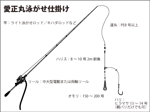 神奈川県 江ノ島沖の大型アジ絶好調 泳がせ釣りも楽しめる 釣りビジョン マガジン 釣りビジョン