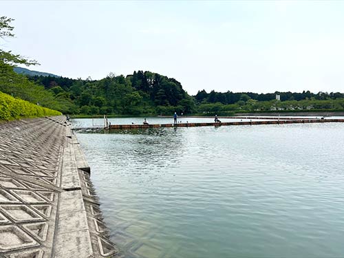 足場が良いので釣りやすい