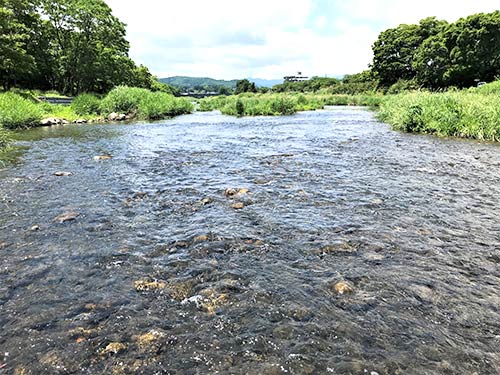 鉄橋の上流。こんな瀬もオイカワ釣りにいい