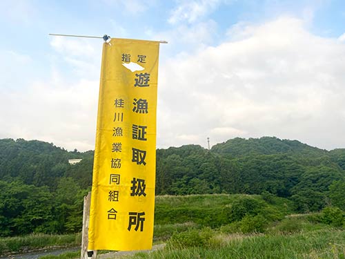 オトリ、遊漁券販売はこの黄色いのぼり旗が目印