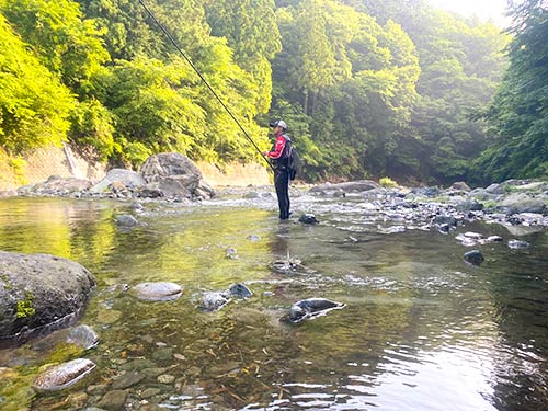 仲間も立ち寄りオトリを確保