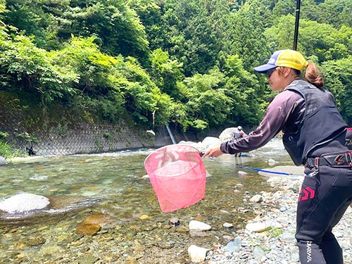 背掛かりも増えてきた