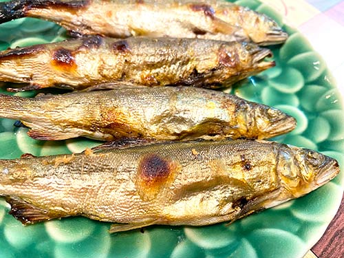 道志アユは味も抜群