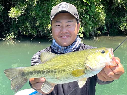 虫系ルアーを沈めてから逃がしの一撃も有効