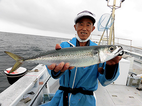 深場で来た良型のゴマサバ