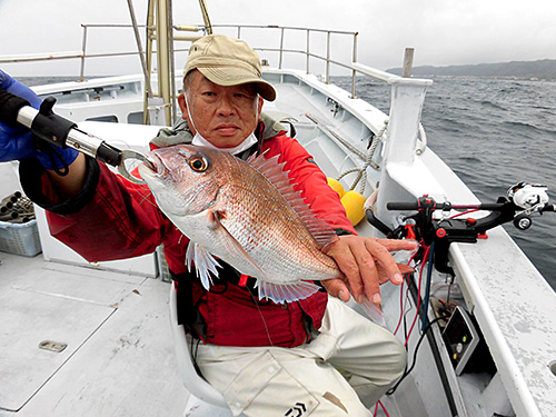 じっくり指示ダナの釣りで手にしたマダイ
