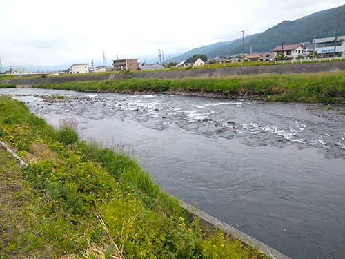 諏訪東部漁協前の流れ（下流側）