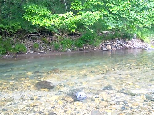 水量の少ないマヅメ時のみのポイント