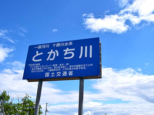 実は、この後に急に雲が広がり、雨がパラつく。初夏の天候には要注意
