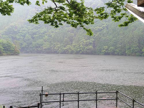確変となった雨