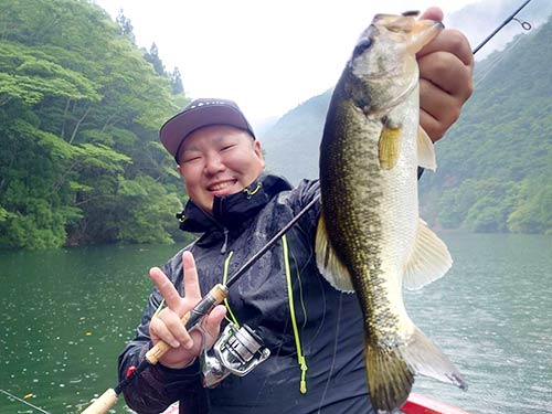 このサイズが多数