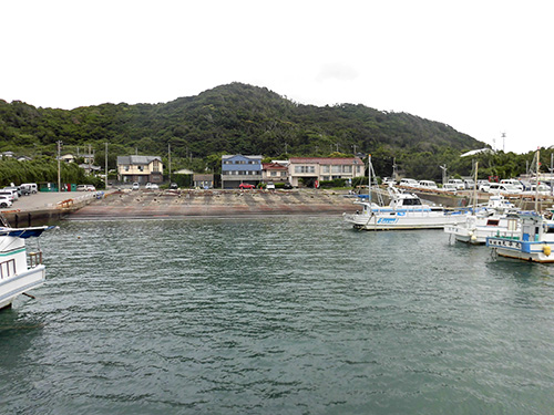 船宿の目の前にすぐ港