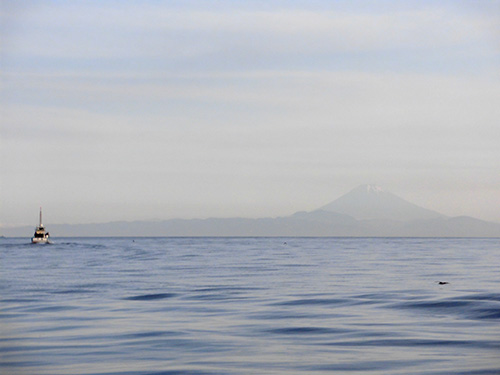 曇り空で視界が悪かったが富士山もかすかに見えた