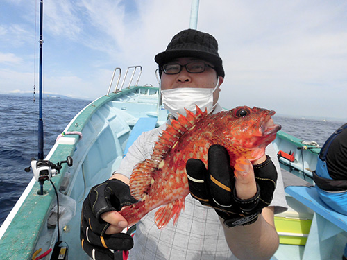“お土産”にはいいサイズ