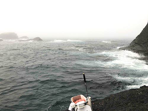 右手のサラシの先のポイントを狙う