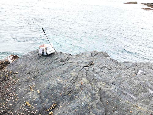 潮の流れを読むことがグレへの近道