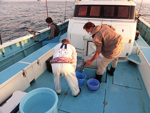 釣り場に到着、活きイワシが配布される