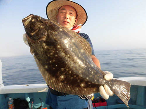 食いは渋いが、釣れれば身の厚い良型