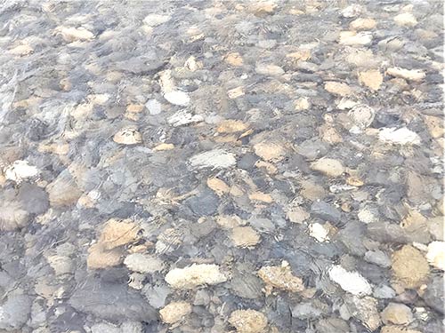 写真でもこの透明度。歩くだけでも十分リフレッシュできる