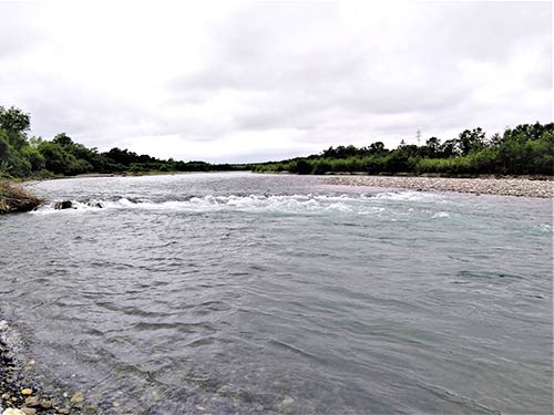豊富な水量の流れ込み。今回はここで釣れた