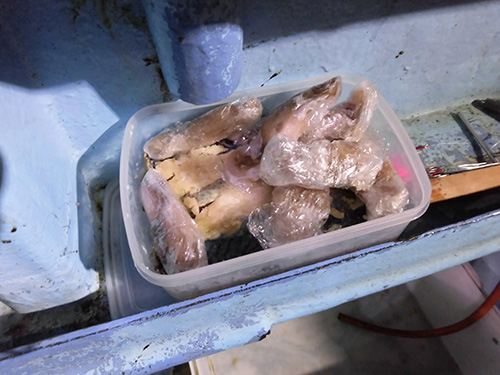 釣り人が持参した餌