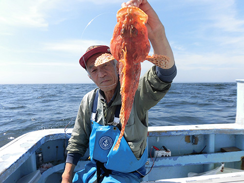 オニカサゴは釣れれば1kgオーバー!
