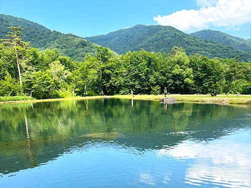 1号池の様子