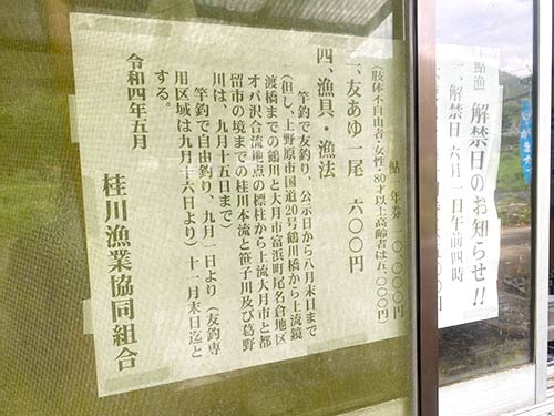元気なオトリアユは1匹600円