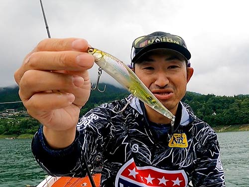ハスを狙っている魚には110mm程のミノー