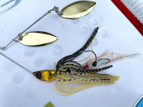 魚のスイッチをONに入れたスピナーベイト