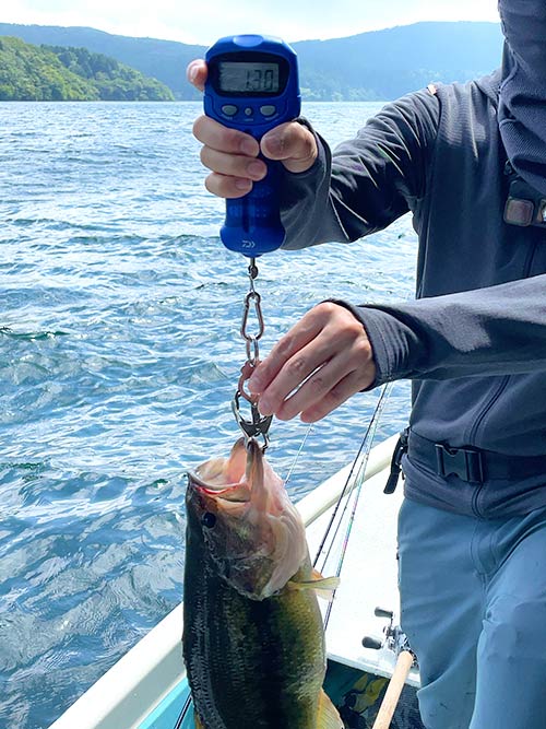小さい方で1300g、ってことはあの大きな魚は…!?