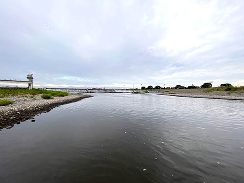 多摩川中流域を代表するアユの人気ポイント、二ヵ領上河原堰。堰の下流115mは禁漁区なので注意
