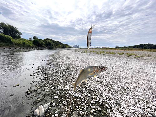 2匹目は背掛かり