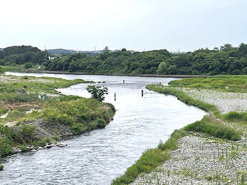 相模川で最も人気が高いポイント昭和橋下流