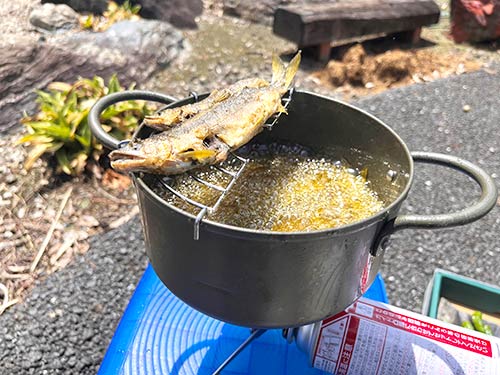 塩焼きにするには小さく、天ぷらにはするには大きかったら素揚げがお勧め