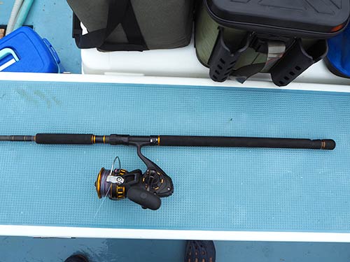 タックルは、ロッド:オーシャンフィールド・オフショアキャスティングOFOS-80MH(アブガルシア)。リール:BG5000H(DAIWA)。ライン:PE5号+ナイロンリーダー18号。ルアー用のロッドなので、ライブベイト用には長かった。