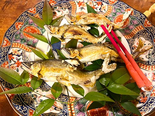 “高原アユ”は釣ってよし!食べてよし!ワタに甘味があって美味しい