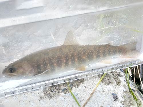 同じく水槽にて